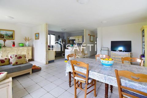 photo no. 6