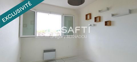 photo no. 8