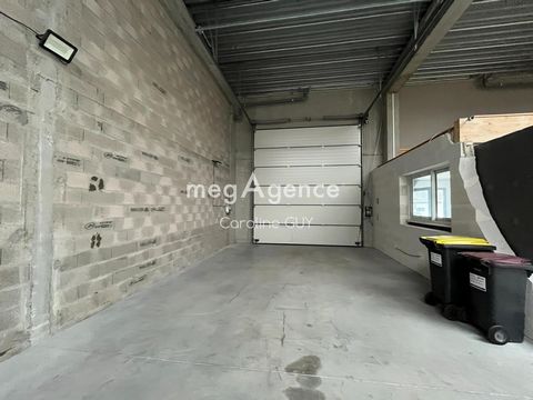 photo no. 4
