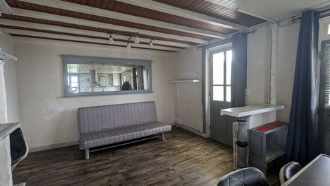 photo no. 11