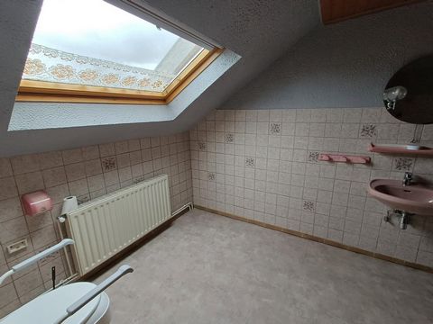 photo no. 12