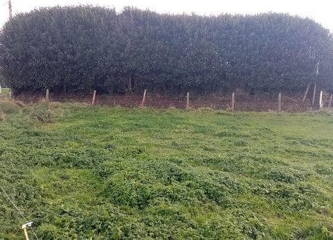 Terrain à vendre proche de VALMONT (76)