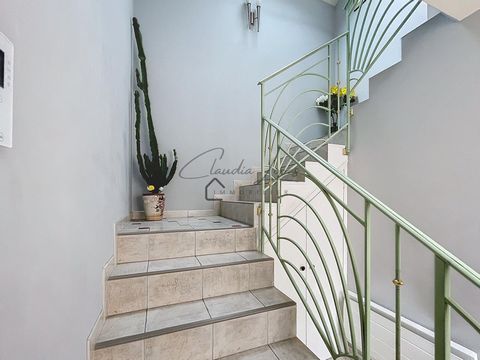 photo no. 11