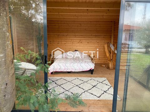 photo no. 9