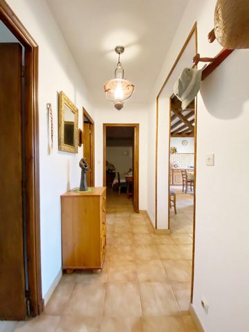 photo no. 4