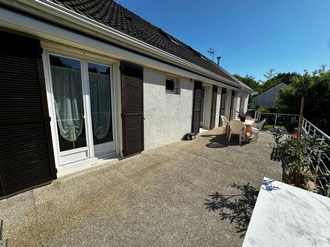 photo no. 11