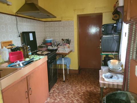 photo no. 8