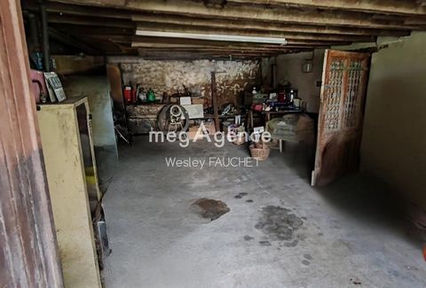 photo no. 6