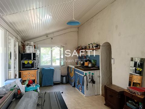 photo no. 2