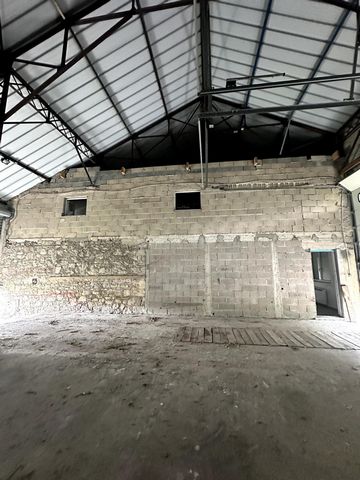 photo no. 4