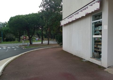 photo no. 1