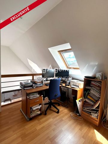 photo no. 5