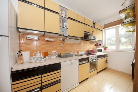 Apartments Kalajzic are located on the Island of Brac, a quiet Island with rich cultural and historical heritage, beautiful beaches and scenery. Apartments Kalajzic offer five accommodation units. Each unit is fully equipped and it offers shared BBQ ...
