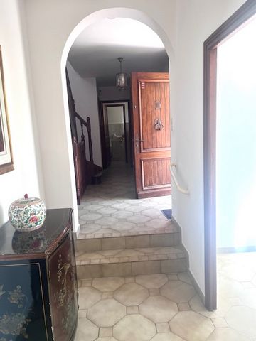 photo no. 11