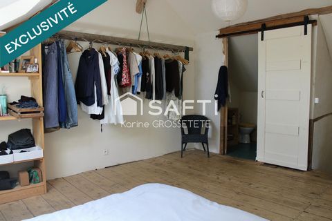 photo no. 7