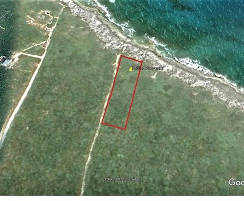 Breathtaking ocean views and sunrises from this 4.98 acres in Petty's, Long Island! One can enjoy the ocean breezes and the sounds of the waves washing up on the shoreline every day from this property. Great deep sea fishing in your own backyard or e...