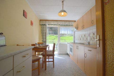 This 1 bedroom apartment with 4 persons capacity located in the village of Kerpen in Eifel is surrounded by rolling hills and forest and has a separate kitchen and balcony along with free WiFi. Trips to the historic city of Trier, the romantic Mosell...