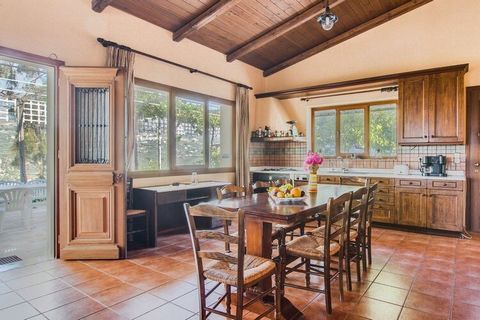 Villa Stella is located on a hill on the estate of 50-60 acres, west of the archaeological Mount Zeus that defines the skyline of Heraklion, surrounded by vineyards, olive groves, fruit, aromatic trees, herbs and flowers, overlooking Ayios Sillas pla...