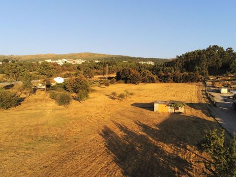 Land located in Quintela, in the Municipality of Seia, in Serra da Estrela, with 12 418m². Possibility of Allotment. Great investment! For more information, please contact us. Surrounding Area City Centre / School / Green Spaces / Pharmacy / Hypermar...