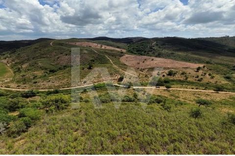 Rustic land in the Parish of São Marcos da Serra - Municipality of Silves with 28.060m2. Ample land with wells always full of water and Water Wheel. Good access and electricity nearby. In the land there are already planted several cork oaks and carob...