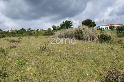 Identificação do imóvel: ZMPT560167 Ruin with Land 11.878m2 Vale da Talha, Carvalhal, Azambujeira Endowed with lots of greenery, fresh air, good access. It has a Land with Arvense Culture, Oliveira, Vineyards, Excellent sun exposure, lots of peace an...