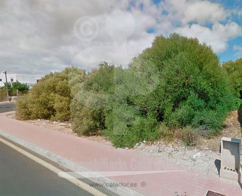 RESIDENTIAL OR COMMERCIAL PLOT measuring 768 m2 in the school area of Cala DOr. Suitable for any kind of business: HOUSE, SHOP, BAR, COMMERCIAL PLOTS AND FOR LIVE SHOWS. Maximum building possibility: 596m2 with possibility of having up to 3 floors (g...