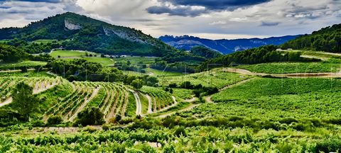 En Côtes du Rhône et hors marché, propriété viticole dont l’origine remonte au XVIème siècle. Constituée d’un ensemble de constructions, doté d’un château situé en position dominante avec vue panoramique à 360° sur la vallée au centre de son vignoble...