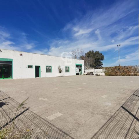 GALATINA - SOLETO: INDUSTRIAL AREA We offer for sale an industrial warehouse, located in the industrial area between Galatina and Soleto, which represents an ideal opportunity for those looking for a functional and safe space for their business. With...