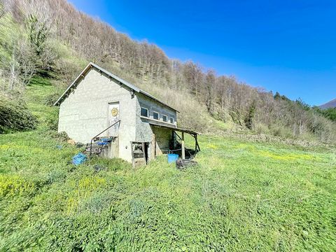 Treat yourself to this location with a breathtaking view. Located in the heart of the Ariège mountains, in the last hamlets before the summer pastures, you will find this toilet block formerly used for a holiday camp. Located on 608 m2 of south-facin...