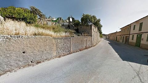 A plot of land is for sale in the picturesque Mallorcan town of Sant Joan, located in the center of the island. Formerly known as San Juan de Sinéu in the Llano region of Mallorca, this charming town offers a unique opportunity for investors and buye...