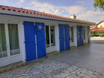 photo no. 6
