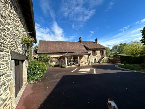 photo no. 2