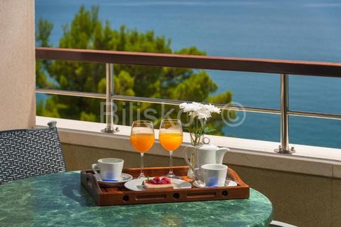 Hotel in the first row to the sea, next to the beach in peaceful and beautiful Gradac. The hotel consists of 20 rooms and 4 apartments in total, which extend over 7 floors (basement, ground floor and 5 floors). On the first floor, the hotel has a lar...