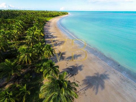 Ipioca Beach Life to osiedle turystyczne w Alagoas, z uprzywilejowaną lokalizacją w pobliżu Maceió. Oferuje oszałamiającą scenerię z czystym piaskiem i krystalicznie czystym morzem. Omawiane mieszkanie, na pierwszym piętrze, posiada trzy sypialnie, z...