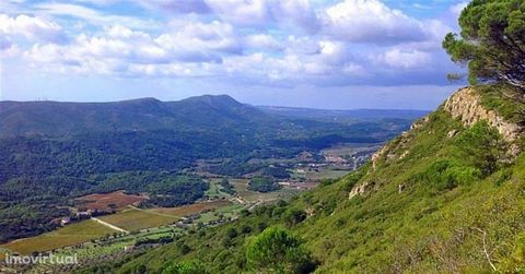 Comercializado por: S.Simão Imobiliaria Licencia AMI: 335 Azeitão situado en la cima de la Serra de Alcube Land con 5 Ha con espléndidas vistas de la Serra da Arrábida y todo el valle de Alcube. No hay posibilidad de construcción.