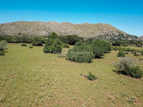 Idyllic plot with great potential, between Pollensa town and the port This scenic piece of land is offered for sale in a convenient location just 5 minutes from Puerto Pollensa, and just a short drive from both Pollensa old town and Cala San Vicente....