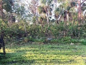 Great Building site in NW Charlotte County, over sized lot, close to a canal , within 12 miles to beach, close to all amenities and level lot needs little fill. Oversize corner lot.