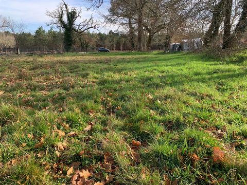 Terrain à bâtir de 1945m2, dans un secteur calme, proche forêt, à quelques minutes des commerces et services de Luxey. Le terrain est borné, le Certificat d'Urbanisme est d'ores et déjà accordé ( un Permis de Construire a été validé - possibilité de ...