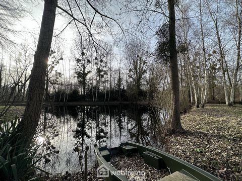 photo no. 3