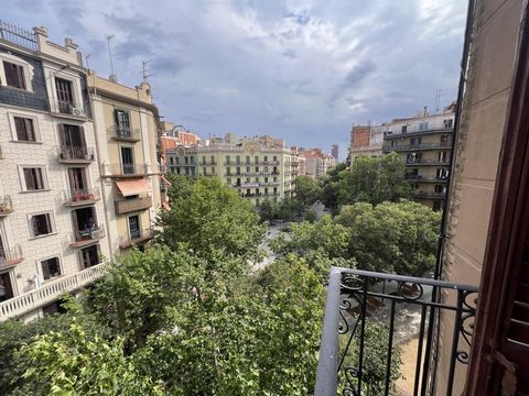 Te renoveren appartement in Consell de Cent - Calabrië. In een gerenoveerd gebouw uit 1900 met lift. We vinden deze woning op de zesde verdieping, 95m2, verdeeld in een woonkamer met 3 slaapkamers, een badkamer, aparte keuken, galerij en balkon met u...