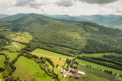 Discover the perfect blend of functionality and opportunity at West Branch Farm, a rare chance to own one of the largest properties available in New York State. Spanning over 1,080 acres of prime commercial and mixed-use agricultural land with an imp...