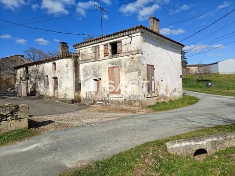 photo no. 1