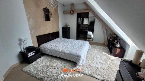 photo no. 12