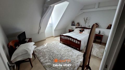 photo no. 15