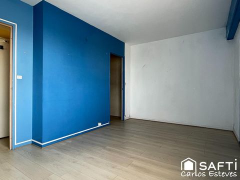 photo no. 11