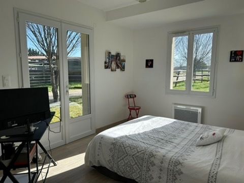 photo no. 8