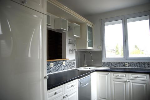 photo no. 6