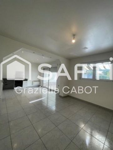 photo no. 11