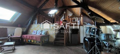 photo no. 7