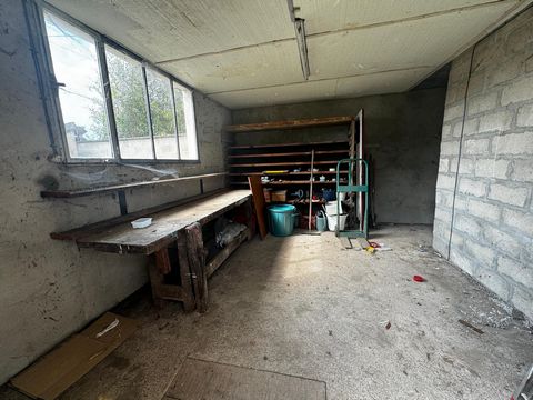 photo no. 13
